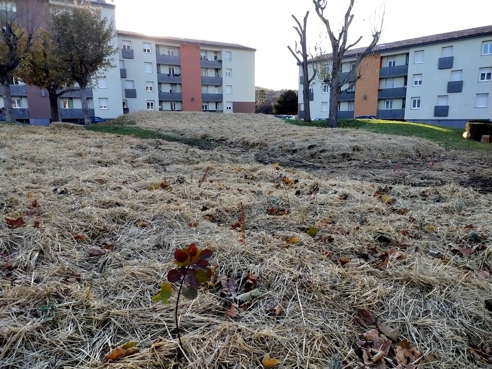 Tout est planté